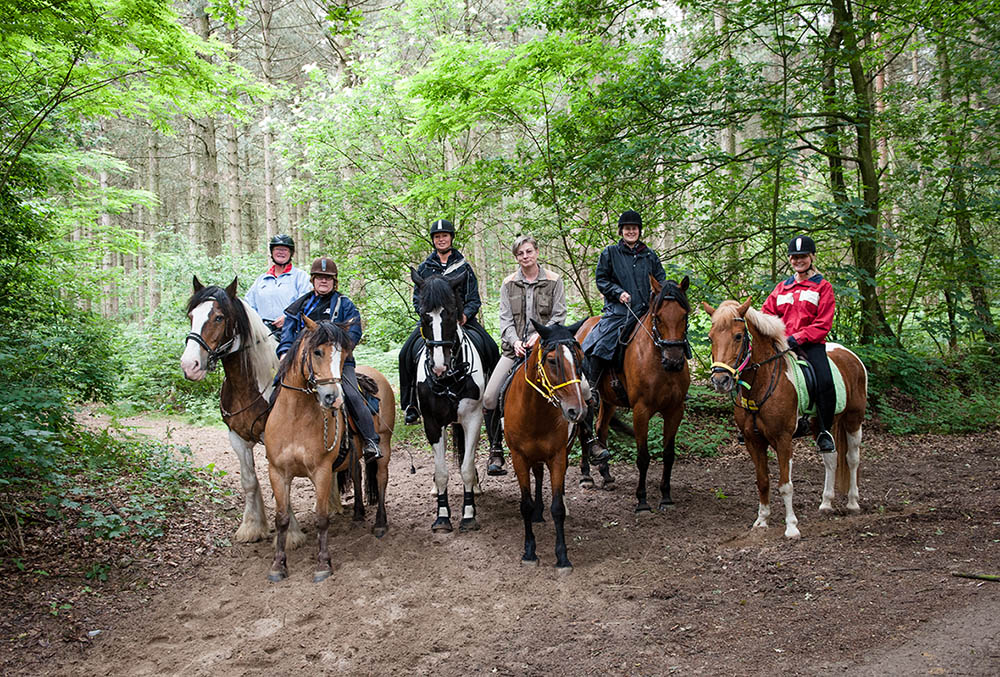 Wandern mit Pferd unter Leitung von Margit Koch-Entrop