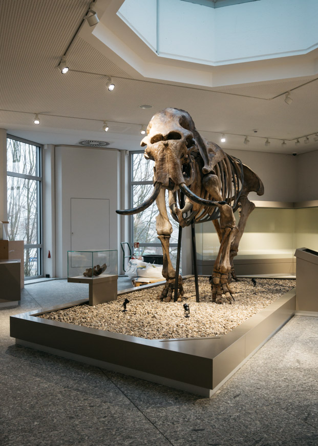 Umbau Naturmuseum Dortmund