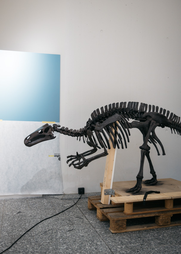 Umbau Naturmuseum Dortmund